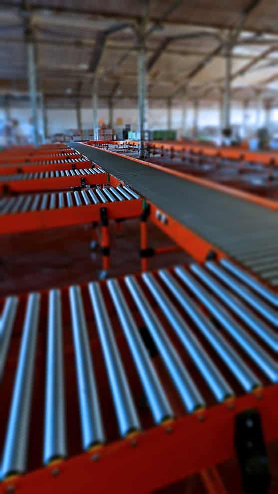 sortation conveyor