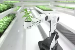 vertical farming with robotics